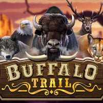 Buffalo Trail